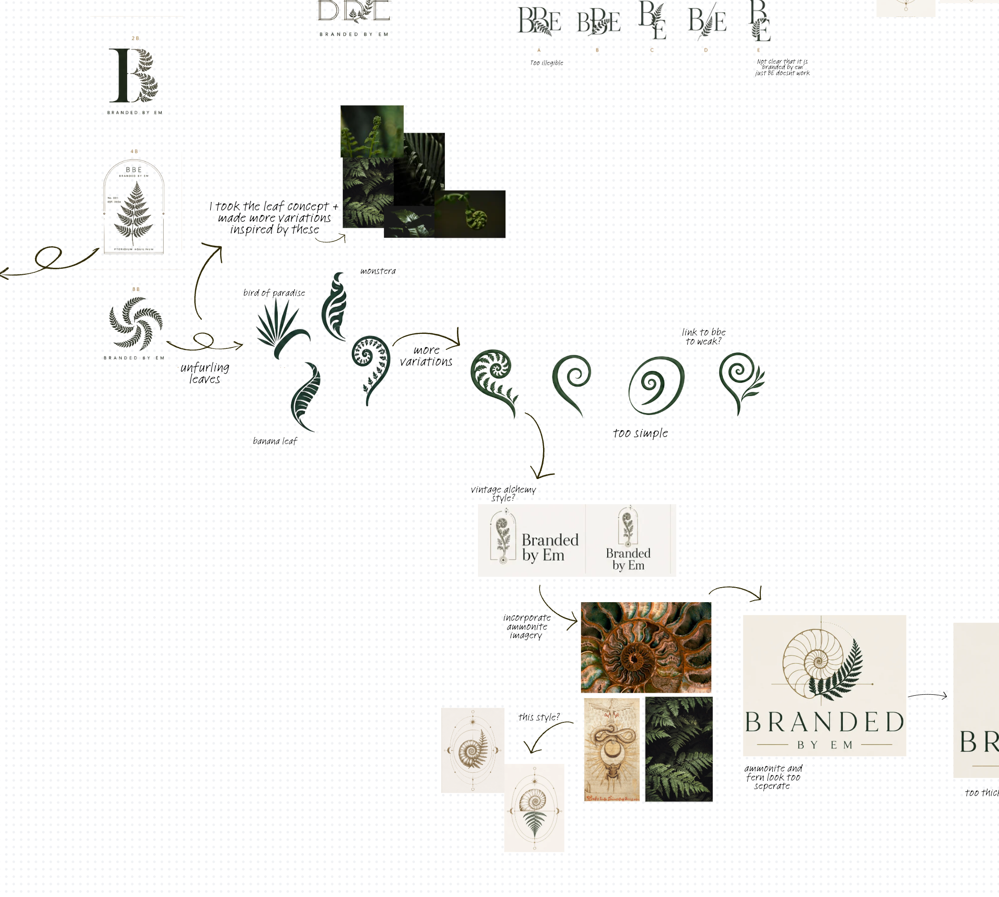 BBE ammonite and fern logo concepts